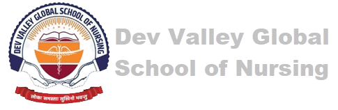 dev valley global school of nursing